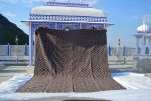 brown area rugs for living room