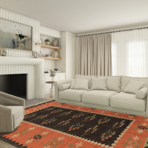 multicolor living room rugs