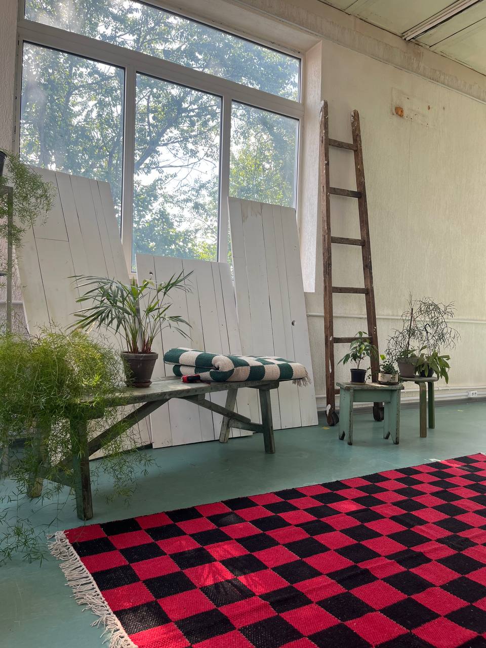 WhatsApp Image 2025-10-13 at 5.38.48 PM