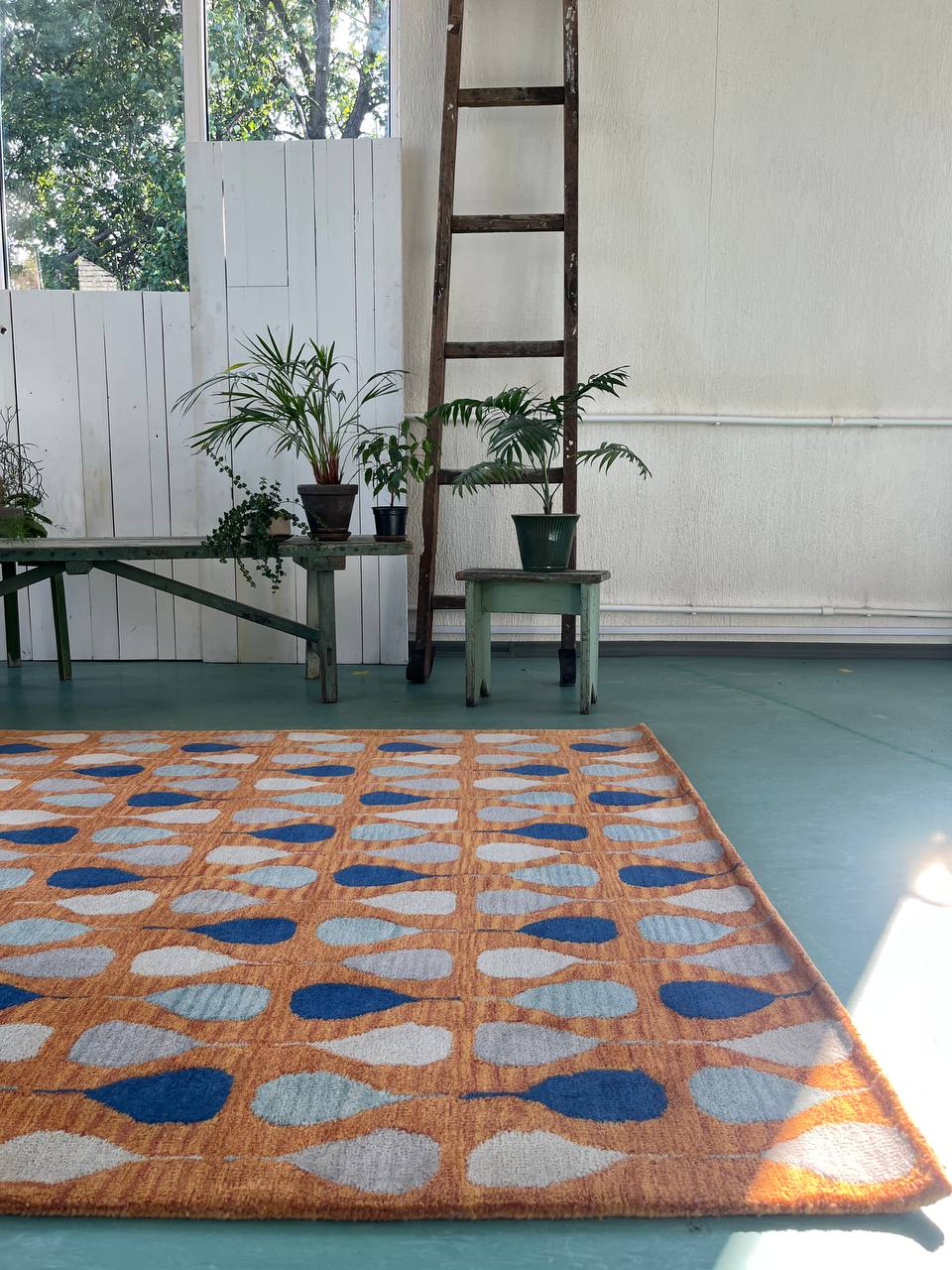 WhatsApp Image 2025-10-13 at 5.40.35 PM (1)