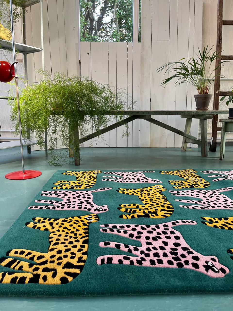 WhatsApp Image 2025-10-13 at 5.40.42 PM (1)