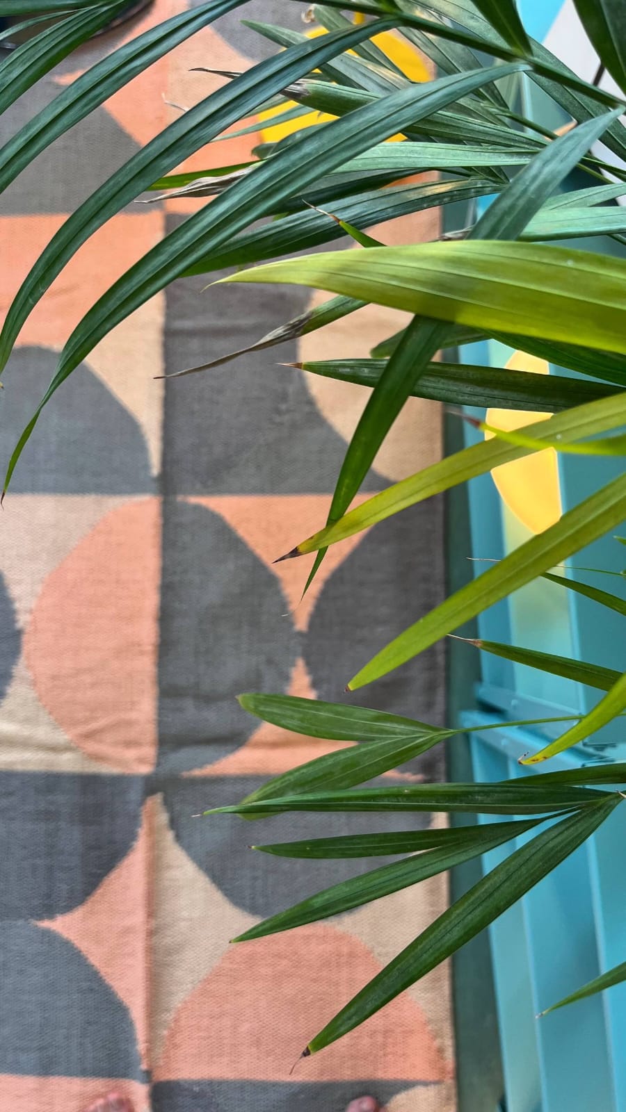 WhatsApp Image 2025-10-13 at 5.42.54 PM (2)